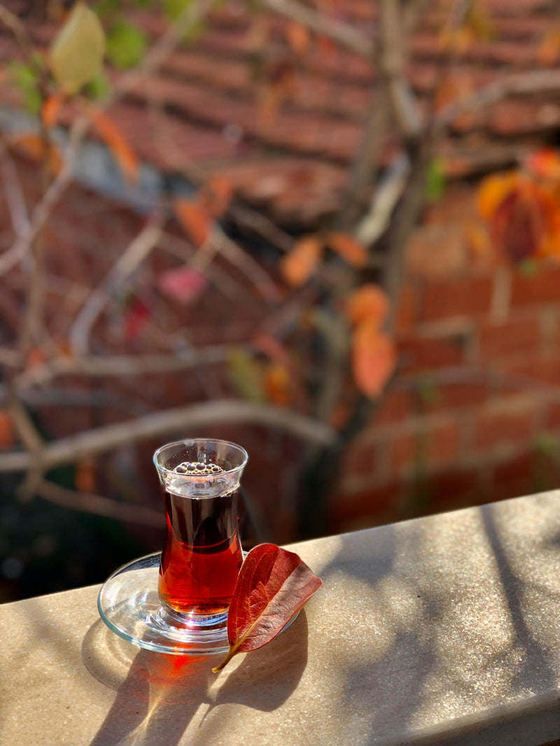 Afghan saffron milk — sheer saffron