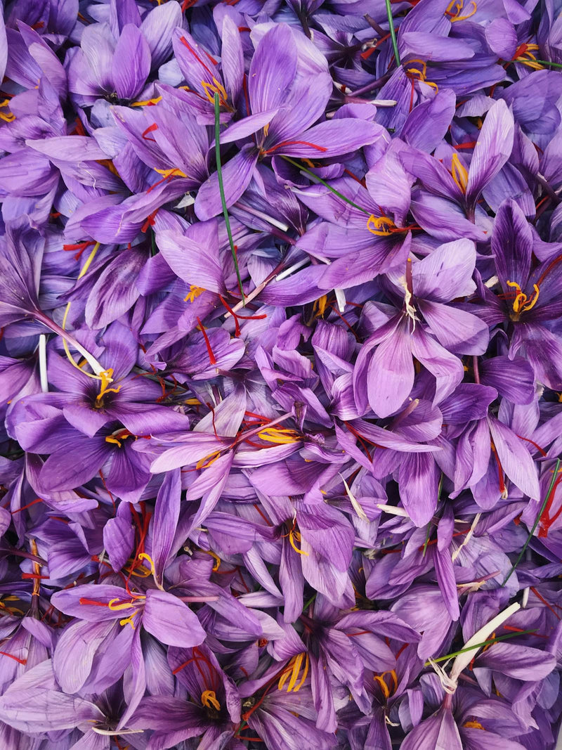 Premium saffron threads in tin — how to buy real saffron