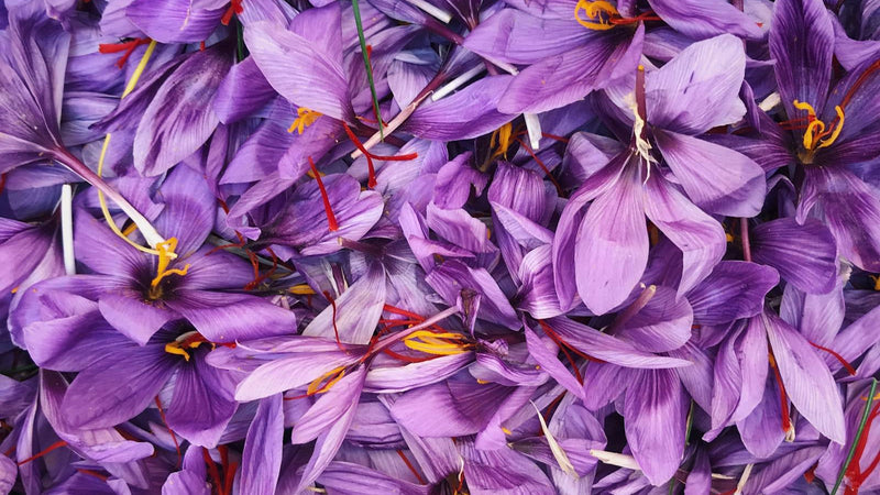 Saffron threads and allergy-safe patch test setup with Raihan Afghan Super Negin saffron