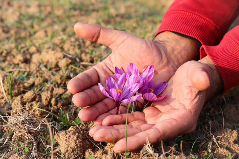 Saffron packaging — tin vs glass vs plastic bag