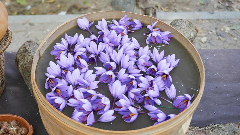Saffron in wedding and festival traditions — Raihan Afghan Super Negin saffron